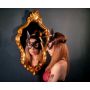 Maska z uszami Whips Collection czarna - 3