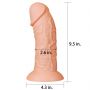 9.5'' Realistic Curved Dildo - 2