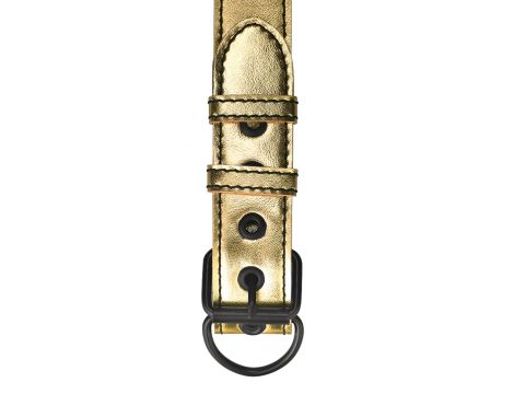 Bondage Fetish Metallic Pup Collar With Leash