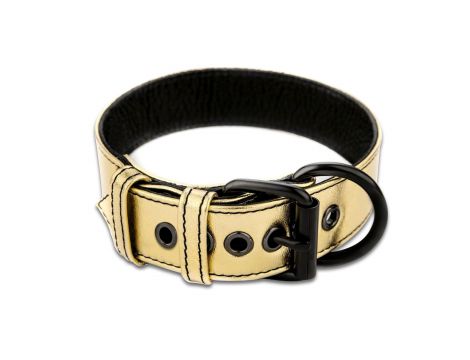 Bondage Fetish Metallic Pup Collar With Leash - 3