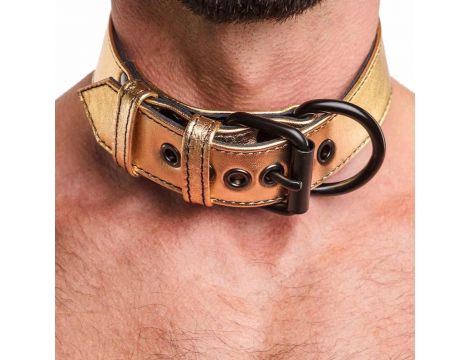 Bondage Fetish Metallic Pup Collar With Leash - 5