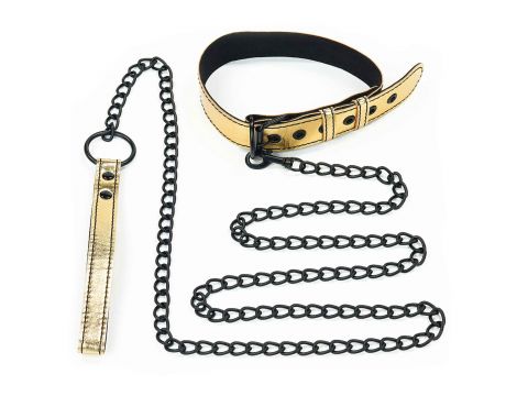 Bondage Fetish Metallic Pup Collar With Leash - 4