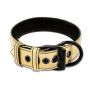 Bondage Fetish Metallic Pup Collar With Leash - 4