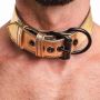 Bondage Fetish Metallic Pup Collar With Leash - 6