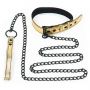 Bondage Fetish Metallic Pup Collar With Leash - 5