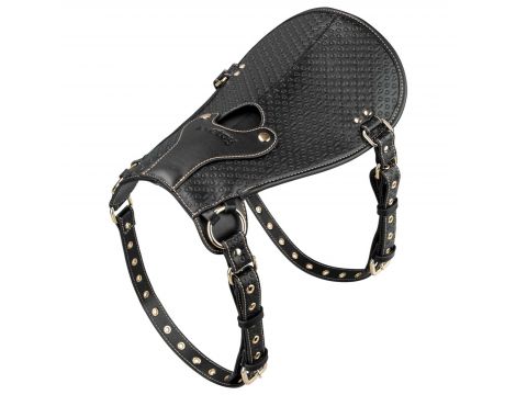 Rebellion Reign Dildo Saddle - 3