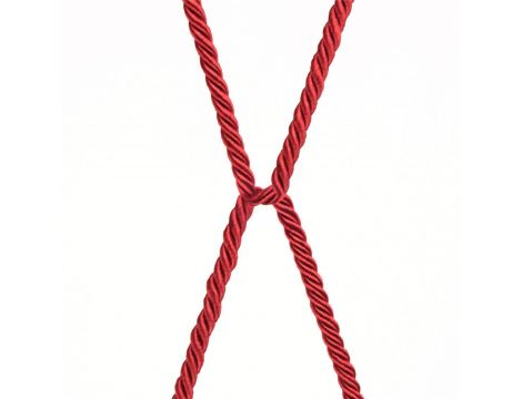 Rebellion Reign Crimson Silky Bondage Rope - 6