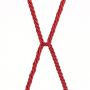 Rebellion Reign Crimson Silky Bondage Rope - 7