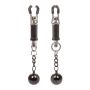 Weighted Twist Nipple Clamps Silver - 5