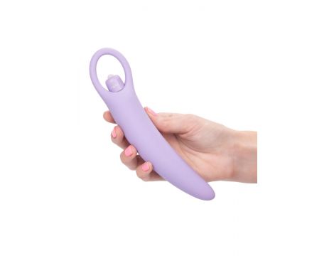 Isabelle Set of 2 Dilators Purple - 4