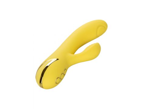 San Diego Seduction Yellow - 11