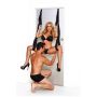 WHIPSMART DOOR SWING BLACK - 2