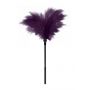 GP SMALL FEATHER TICKLER PURPLE - 2