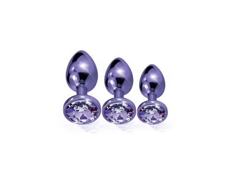 NIXIE METAL BUTT PLUGÂ TRAINERÂ SET, PURPLE METALLIC
