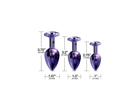 NIXIE METAL BUTT PLUGÂ TRAINERÂ SET, PURPLE METALLIC - 3