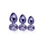 NIXIE METAL BUTT PLUGÂ TRAINERÂ SET, PURPLE METALLIC - 2