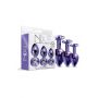 NIXIE METAL BUTT PLUGÂ TRAINERÂ SET, PURPLE METALLIC - 5
