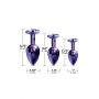 NIXIE METAL BUTT PLUGÂ TRAINERÂ SET, PURPLE METALLIC - 4