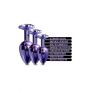 NIXIE METAL BUTT PLUGÂ TRAINERÂ SET, PURPLE METALLIC - 3