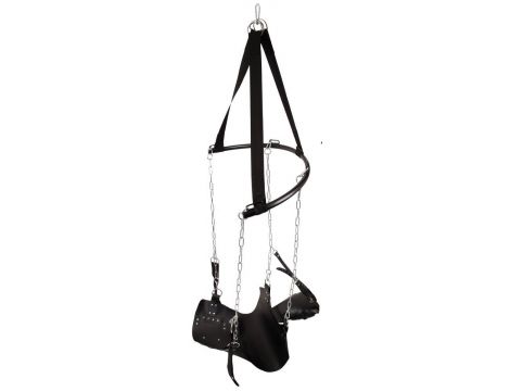 Sex Swing - 4