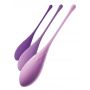 FFH Kegel Train-Her Set - 6
