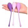 FFH Kegel Train-Her Set - 5