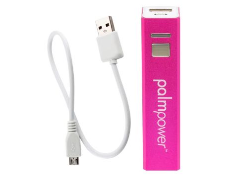 Palm Power Plug & Play - 2