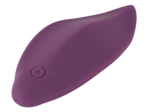 Sweet Smile RC Panty Vibrator