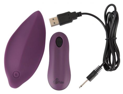 Sweet Smile RC Panty Vibrator - 5