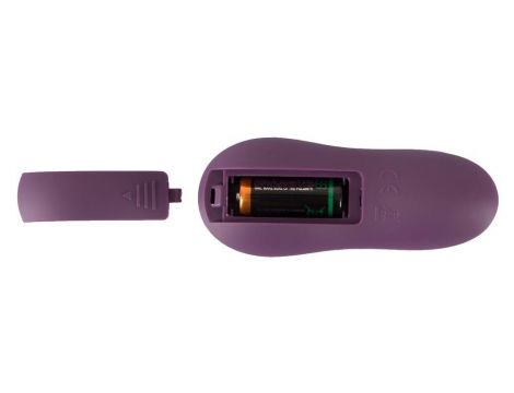 Sweet Smile RC Panty Vibrator - 9