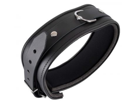 Leather Collar L/XL - 3