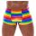 Men's Boxer Briefs Rainbow L