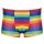 Men's Boxer Briefs Rainbow 2XL