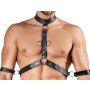 Men's Harness and Pants XL - 4