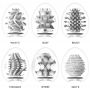 Tenga Egg Variety New Standard - 3