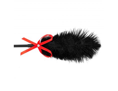 Fetish B-Series Tickler & Whip 2.0 - 2
