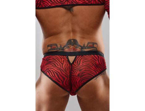 Majtki brazyliany Regnes Fetish Planet zebra M - 2