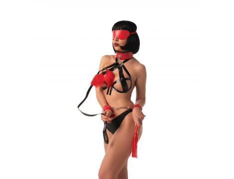 Zestaw BDSM Play With Me Fantasy 5 elementów - 2