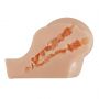 CRAZY BULL - Kylie, Vibration Double holes  TPR ABS - 8