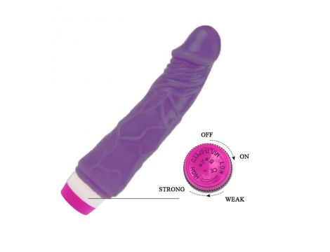 BAILE - Pleasure Fantasy Vibe - 4