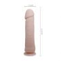BAILE - The Big Penis - 4