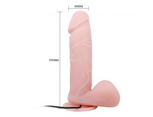 BAILE - Dong Vibrating