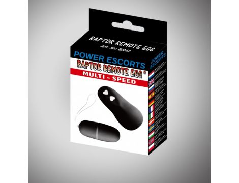 Raptor remote egg black remote egg - 2