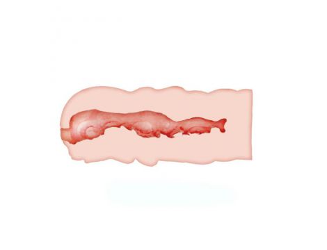 Masturbator pochwowy realistyczny Crazy Bull Isabel cielisty 13.5 cm - 6