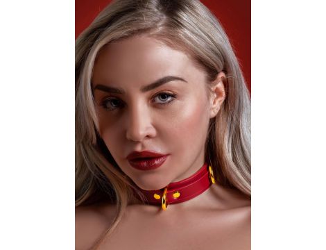 Obroża Taboom D Ring Deluxe czerwona 43 cm - 3